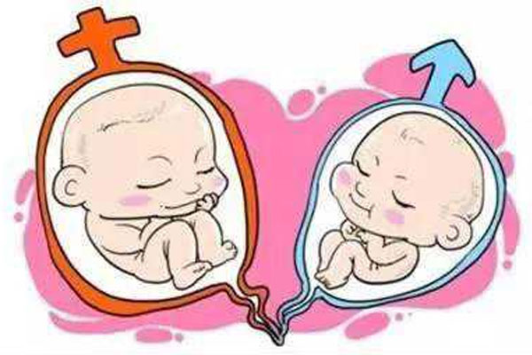 试管婴儿知识百科|子宫内膜薄可以做试管吗?