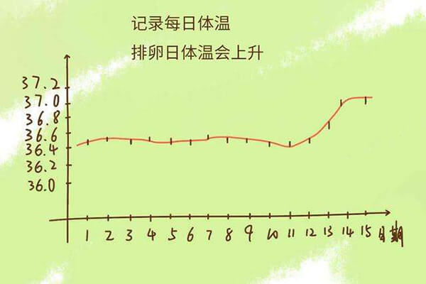排卵期怎么算的5个方法 准确率高达90%以上 