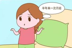 几个月孕前检查
