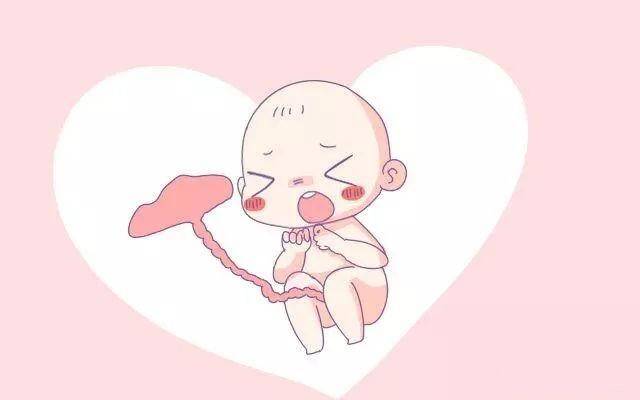 试管婴儿图片