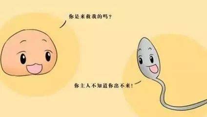 排卵试纸判定黄素化