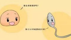 排卵试纸判定黄素化
