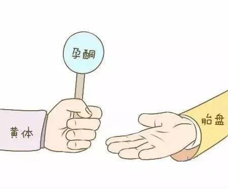 查孕酮需要空腹吗   结果会出现误差吗