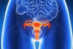 女性性欲低，卵巢功能不全是卵泡膜细胞瘤的征兆