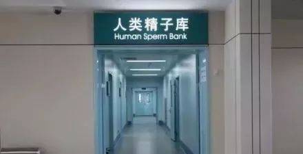 中国精子库在哪里?申请要求是什么?