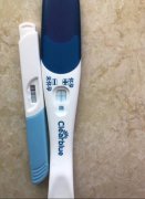 按月份查生男生女是怎么样的