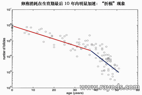 女性生育力在36岁之后加速衰退