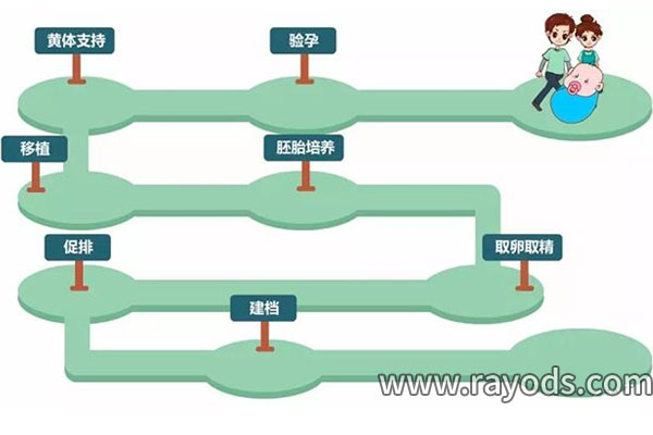 试管婴儿流程