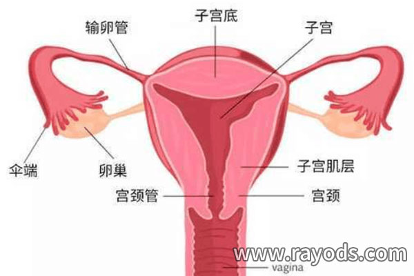 输卵管堵塞