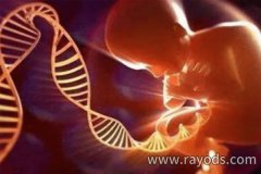 人工授精费用大概需要多少？这4大因素影响最终价格