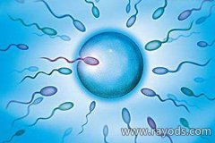 男性不孕不育为什么越来越多？这些总结很到位