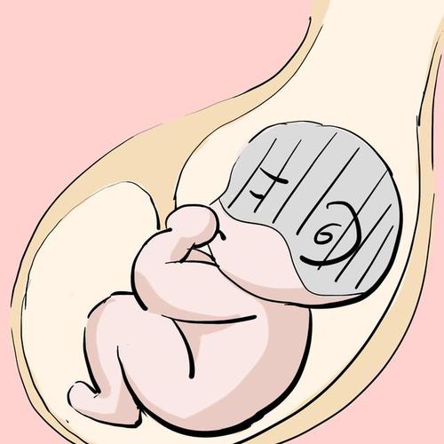 胎心正常胎儿会缺氧吗