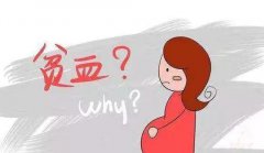 孕妇贫血对胎儿有什么影响