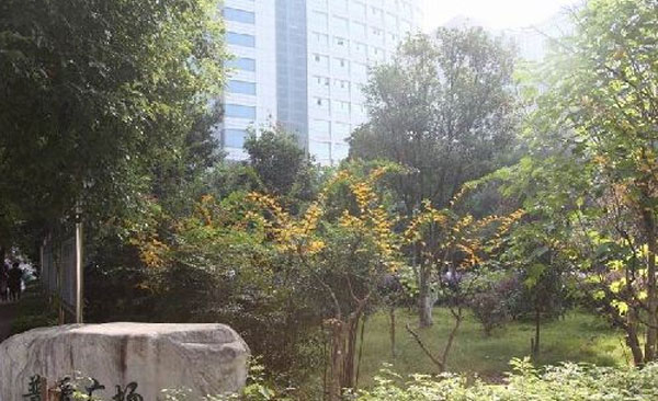 湖北医药学院附属随州医院绿化