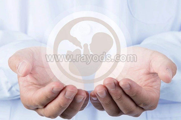 试管婴儿如何保胎
