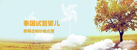 做试管婴儿在泰国多少钱