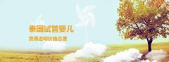 做试管婴儿在泰国多少钱？
