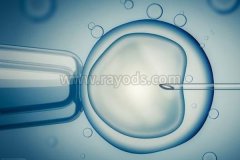 试管成功率有多高?泰国试管婴儿成功率和哪些方面有关?