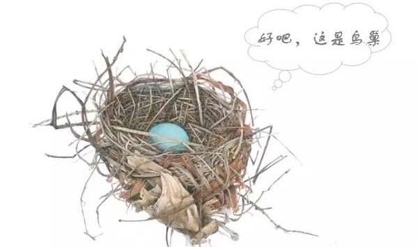 自然受孕还是试管婴儿