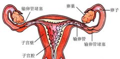 这3种情况容易导致试管婴儿失败，希望你没有！