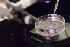 三次试管婴儿失败 背水一战 终得成功眷顾