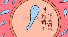 冷冻精子会降低试管成功率？绝对不是这样