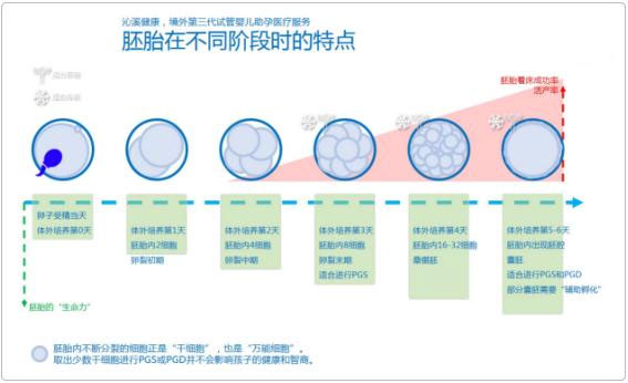 大于37岁的女性更需要第三代试管婴儿技术