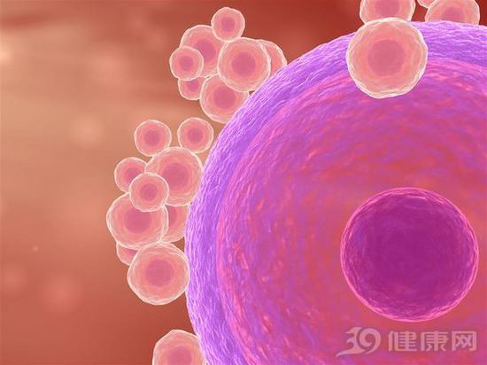 女人怎样受孕，怀孕的过程是比较煎熬的