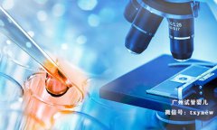 代试管妈妈|广州较大的助孕公司是哪家？