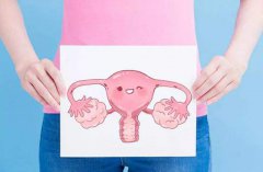 子宫内膜厚想做代试管妈妈？这个方法可以试试