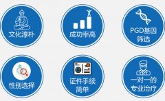 柬埔寨试管婴儿成功率一直提不起来？这2点方法别错过