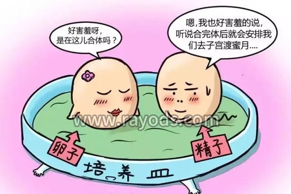 美国试管婴儿高成功率的背后，适合什么人群做