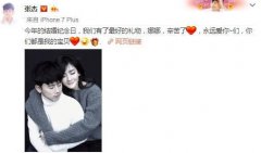 谢娜怀的是双胞胎，真的是做的试管婴儿吗？哪家做得好？