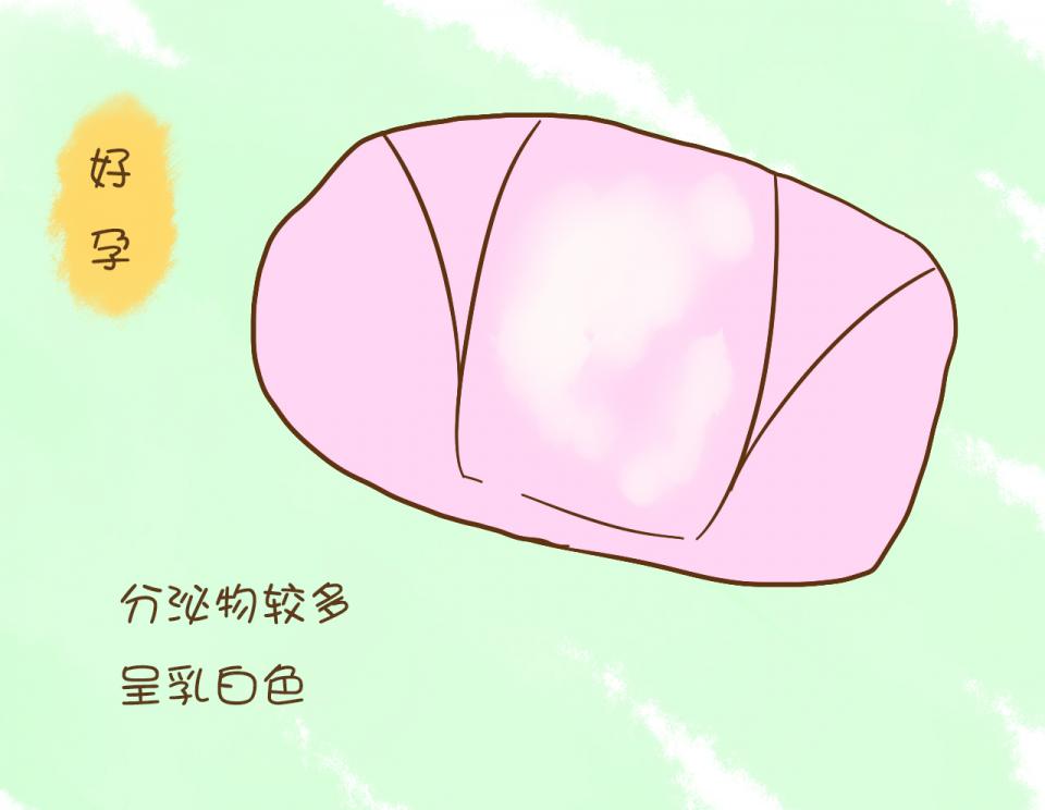 看内裤就知道怀孕了 内裤上一般有分泌物