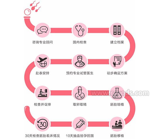 泰国试管流程