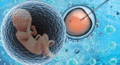 做试管婴儿取卵前为什么“降调节”？