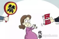 柬埔寨D孕合法吗？2020年D孕国家及地区汇总一览