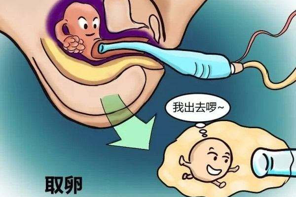 澳门试管婴儿期间别做这些事儿