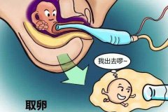 澳门试管婴儿期间别做这些事儿，助你顺利怀孕！