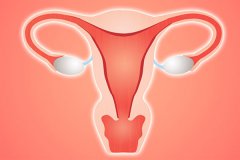 内分泌失调性不孕应该怎样治疗？能做试管婴儿吗？