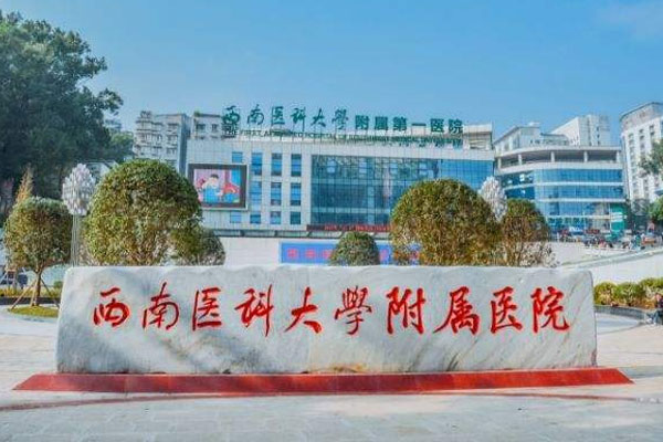 西南医科附属医院全景图