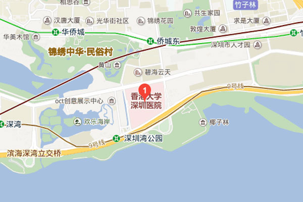 港大深圳医院地理位置