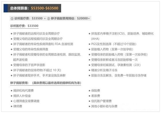 美国试管+捐卵的费用