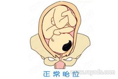 正常胎位是什么位傻傻分不清？五分钟教会你看胎位