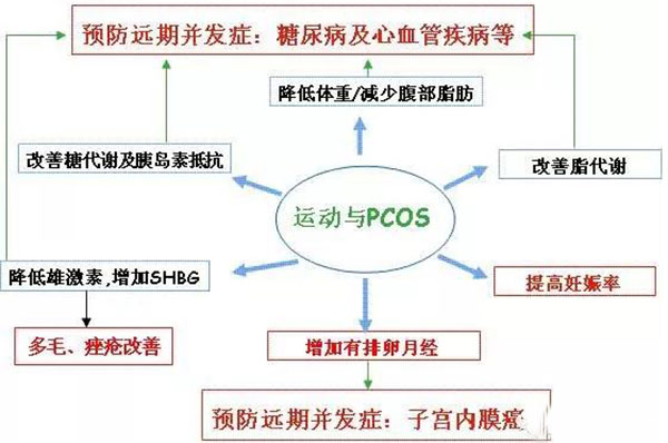 运动与多囊的关系