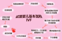 试管婴儿具体流程