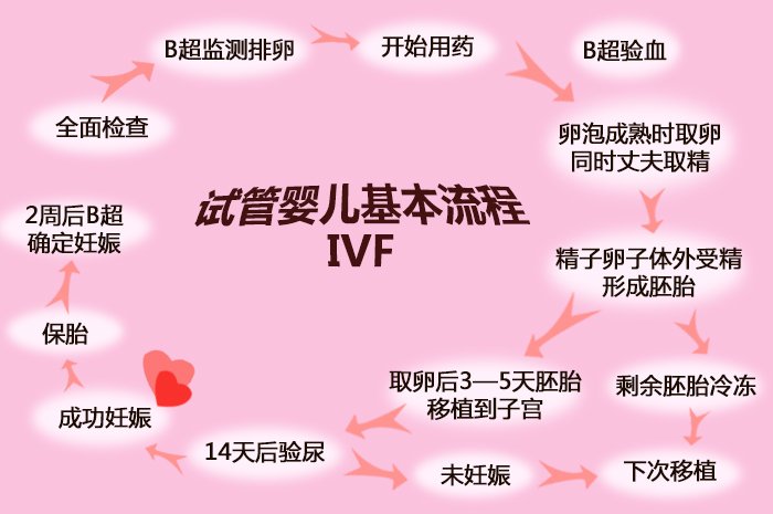试管婴儿具体流程