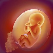 去泰国做试管婴儿多少钱？去泰国做试管要花费多少？