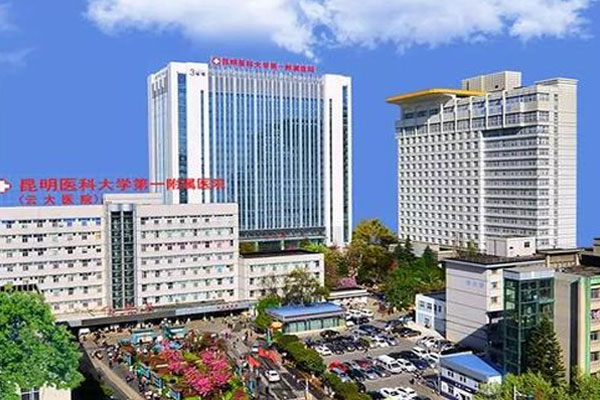 昆明医科大学第一附属医院(云大医院)