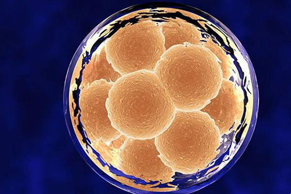 试管婴儿怎样取卵才能成功